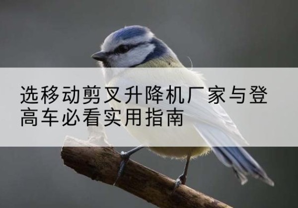 广丰电动升降机厂家-选移动剪叉升降机厂家与登高车必看实用指南