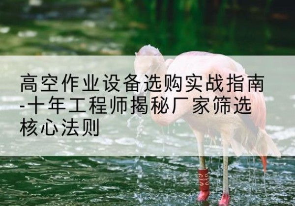 广丰剪叉式升降机厂家-高空作业设备选购实战指南-十年工程师揭秘厂家筛选核心法则